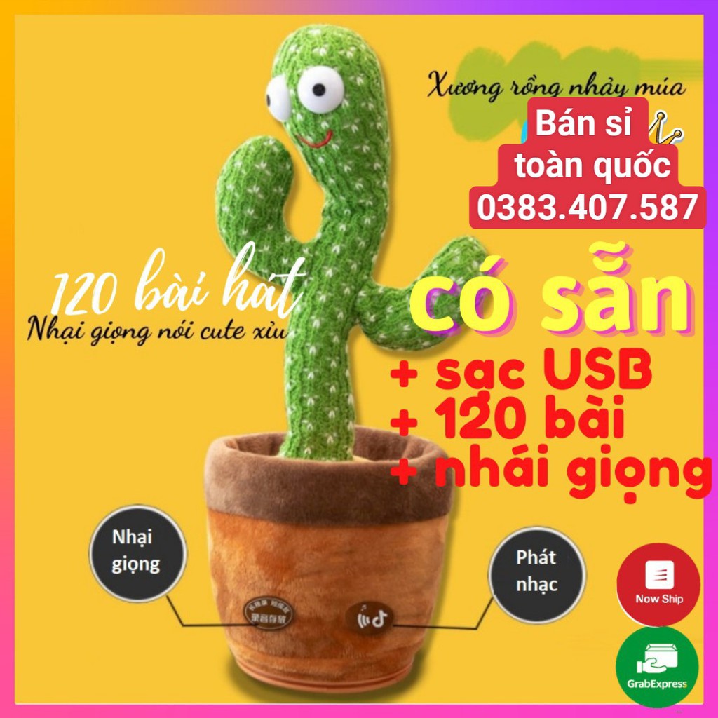 xương rồng nhảy múa 120 bài hát-có đèn (sỉ 69k)