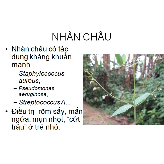 Nước Tắm Trẻ Em Thảo Dược Sữa Cho Bé - TAMBEBE Tăng cường sức khỏe miễn dịch chống viêm Hết Mụn Nhọt | BigBuy360 - bigbuy360.vn