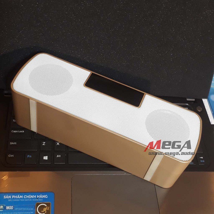 MEGA MOBILE N200 Loa Karaoke Bluetooth 2 Micro Không dây, thuyết minh trợ giảng