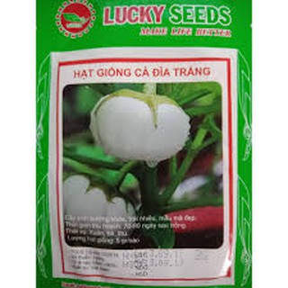 Hạt giống cà đĩa trắng (2g)
