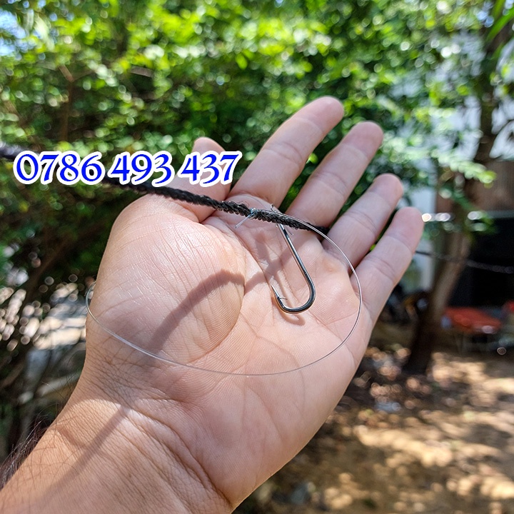 Bộ Câu Giăng cá Lăng, cá Tra, cá Ngát, cá Trê đủ loại dùng trên sông, rạch, hồ, đập