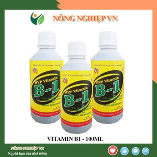 Phân bón lá vitamin B1 việt nam cho hoa lan cây cảnh ra rễ mạnh nảy nhiều chồi 100ml.nongnghiepvn