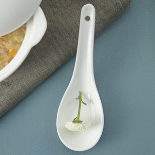 Thìa sứ trắng cao cấp cán ngắn