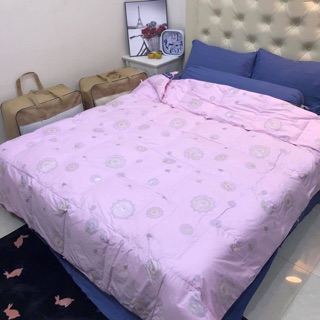 Ruột chăn lông vũ đại hàn 2019 (ảnh thật)