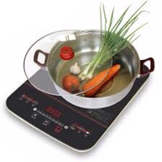 Bếp từ Sato- Nhật