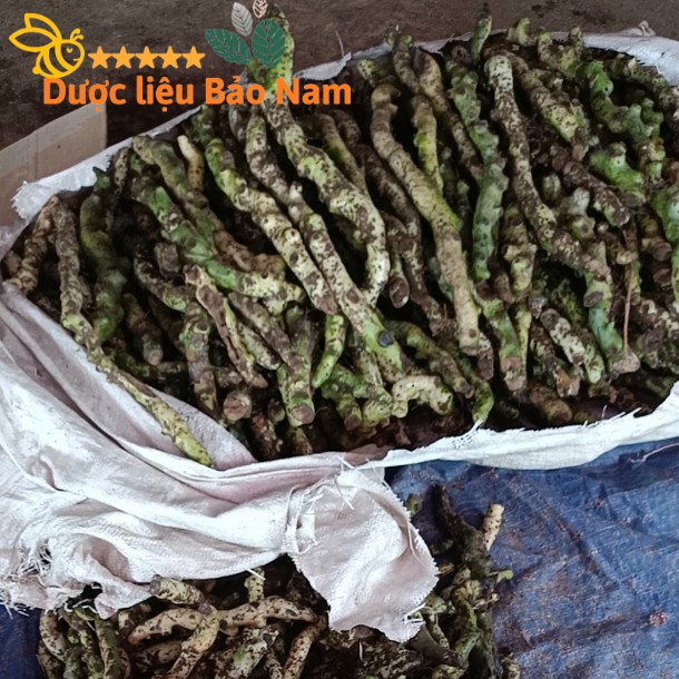 Tắc Kè Đá  tươi Tây Bắc 1kg