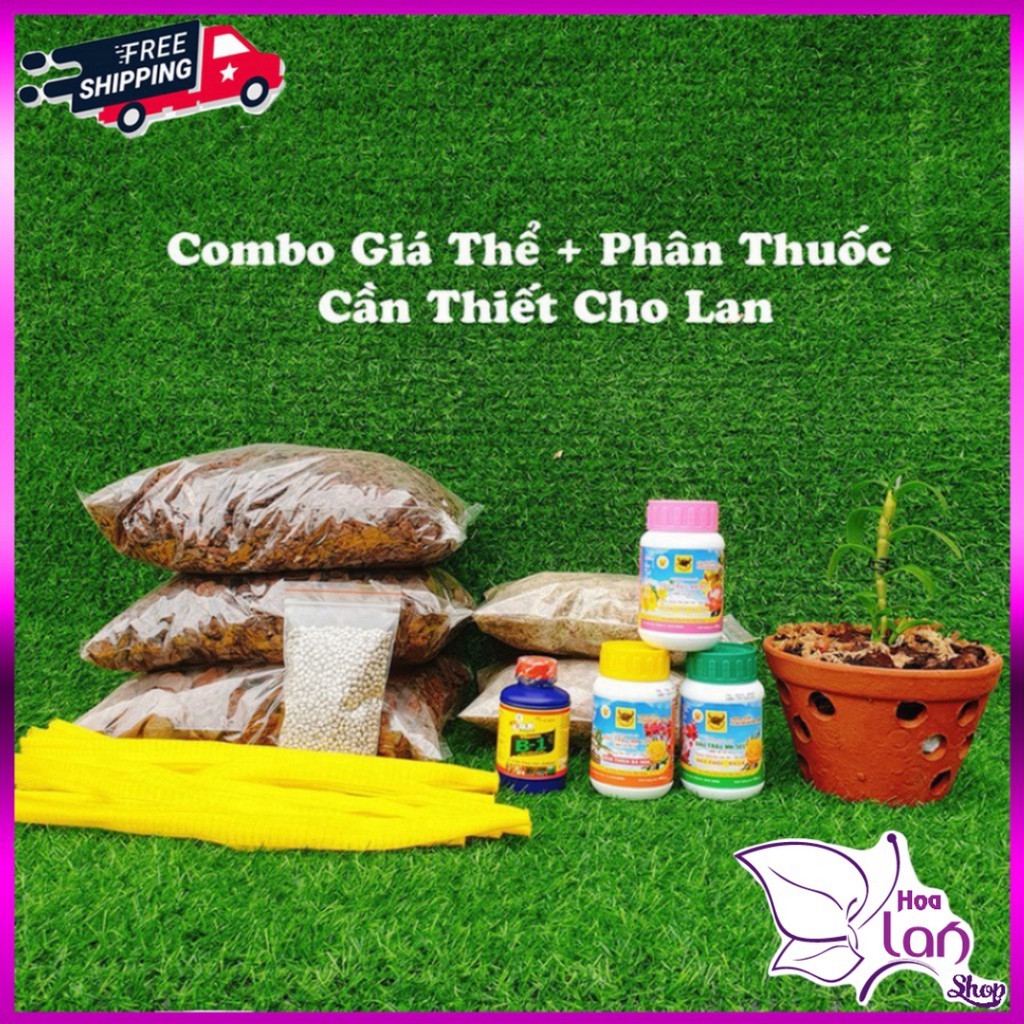 Giá Thể Trồng Lan ⭐ Chọn Bộ Đầy Đủ ⭐Vật Tư + Phân Thuốc Giá Thể Trồng 10 Chậu Lan [ Cho Người Biết Chơi ]]