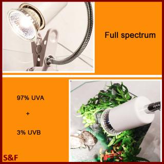Bóng Đèn Sưởi Ấm Cho Thú Cưng/Bò Sát Uvb 3.0