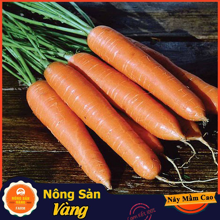 Hạt giống Cà Rốt Củ To F1 ( 3 Gram ) - Nông Sản Vàng