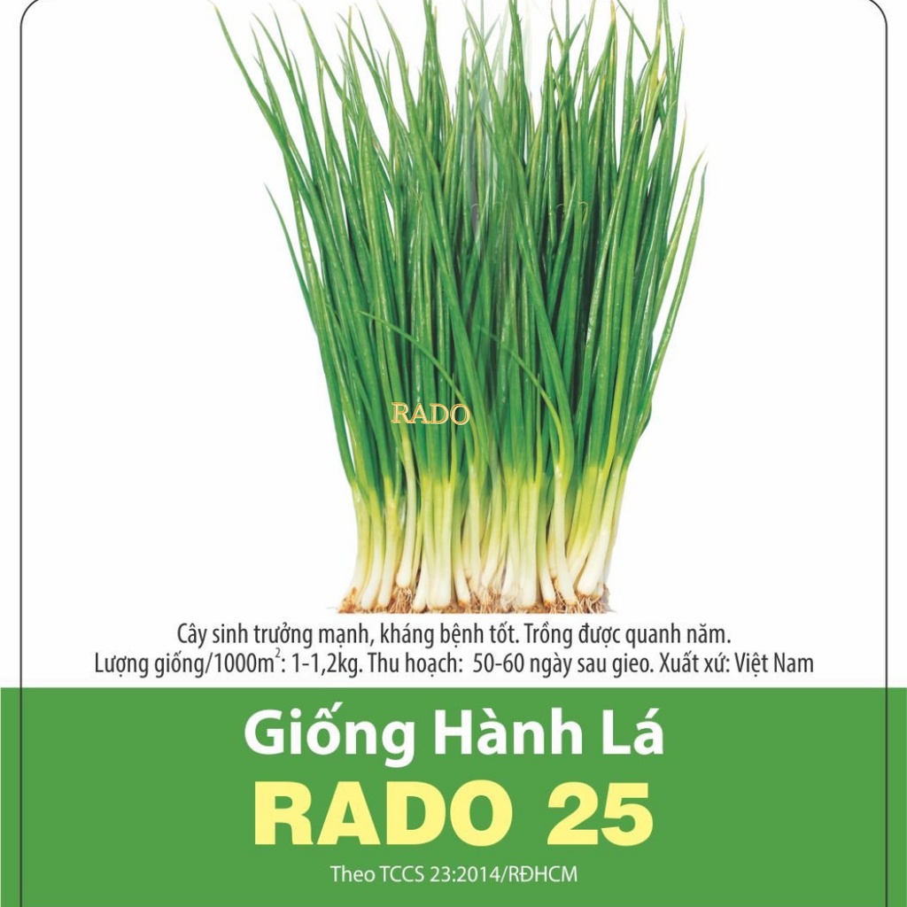 Hạt giống Hành Lá RADO 25