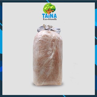 Combo 5 phôi nấm bào ngư xám tại trại giống