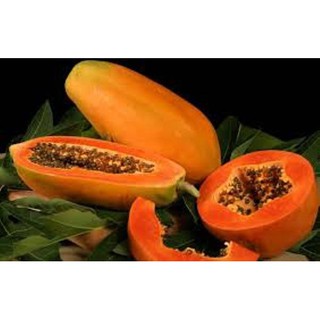 Hạt giống Đu đủ ruột đỏ