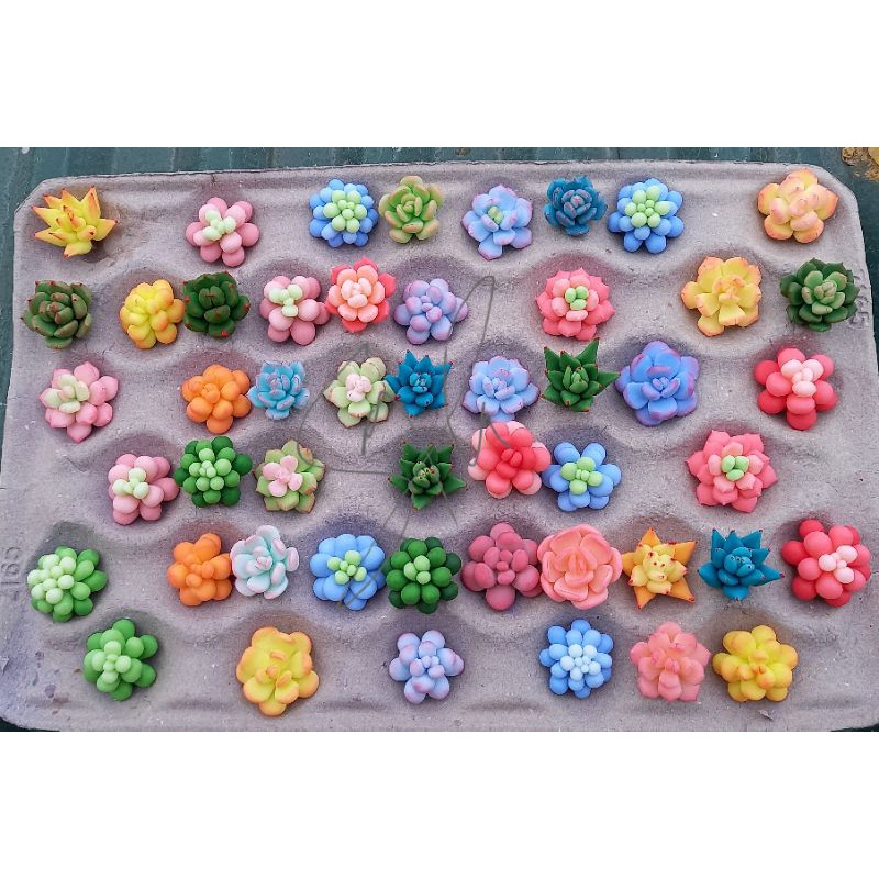 Sen đá đất sét size 7cm