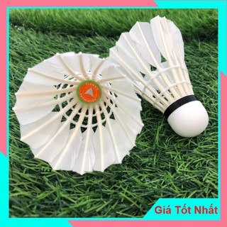 Cầu Lông Tiến Bộ 888 - Cầu Chất Lượng Cao Dành Cho Các Vận Động Viên Thi Đấu Quốc Gia Và Quốc Tế