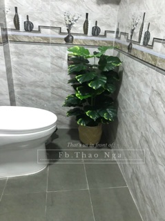 Cây trầu bà giả 1m