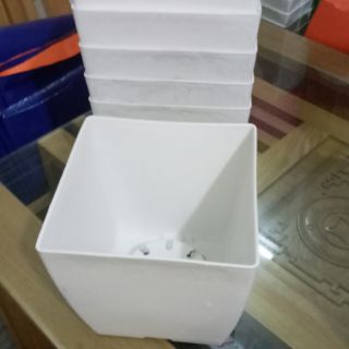 Chậu trồng cây mới về đường kính 20cm