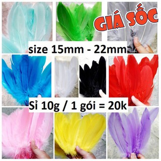 Lông vũ LỚN - màu trắng và đủ màu : 1 bịch 10g khoảng 20 cái [ size 15mm - 22mm ]