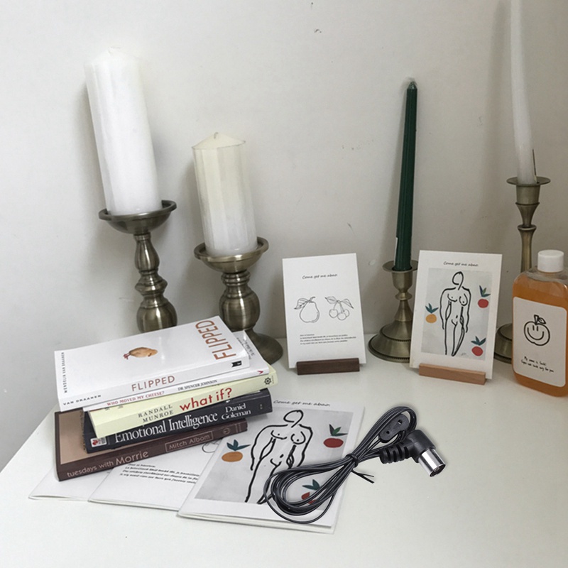 Ăng Ten Am / Fm 75 Ohm Pal Cho Máy Chiếu Tại Nhà