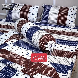 Vỏ gối cotton Thắng Lợi chính hãng ( gối nằm - gối ôm ) [ảnh thất 2]