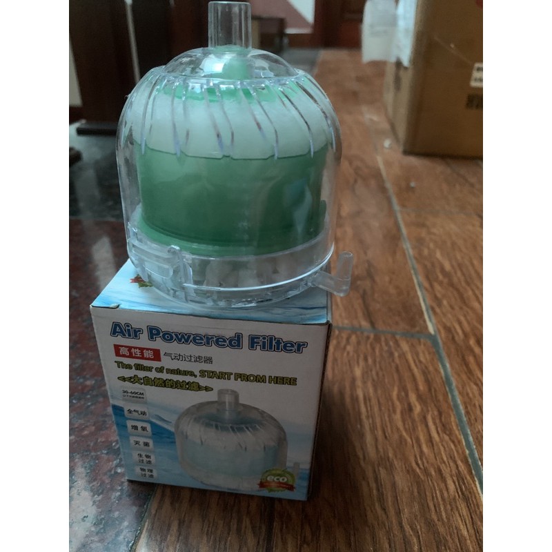 Lọc sủi vi sinh trụ C