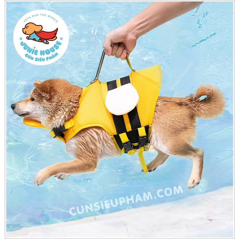 Áo phao bơi ong vàng đi biển cho chó mèo