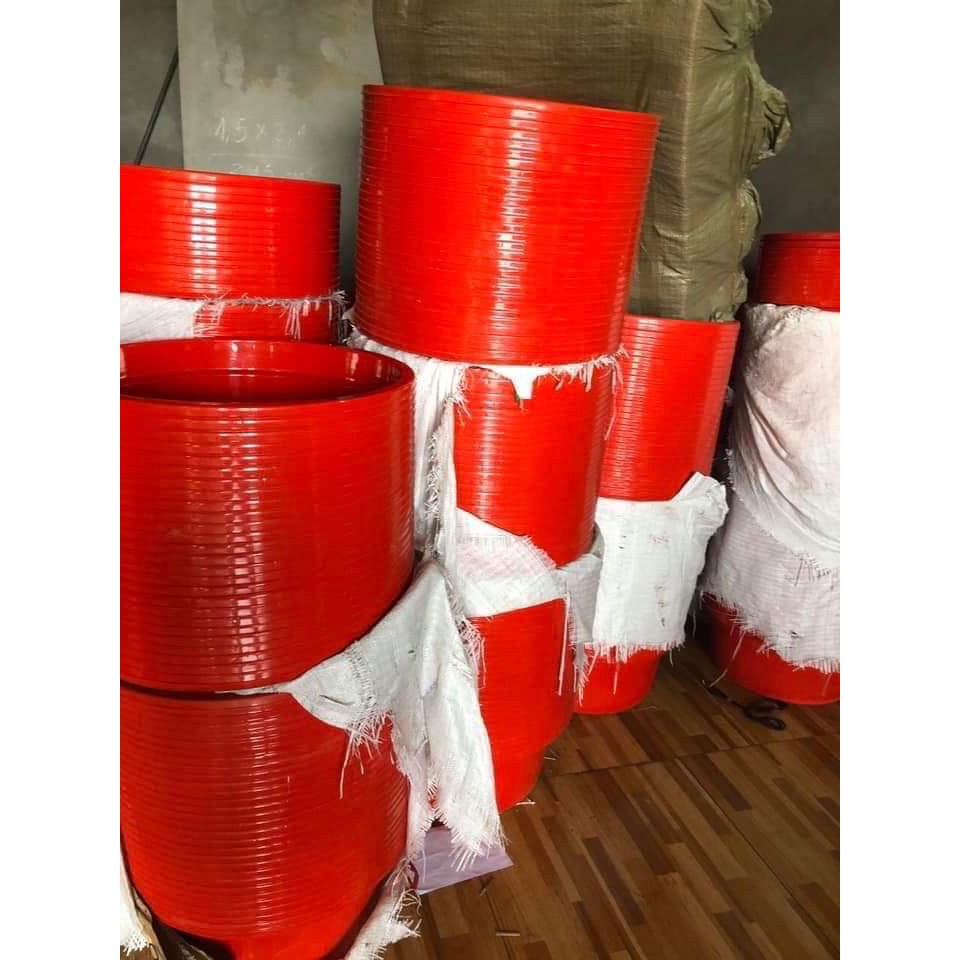 Combo 2 chậu giặt omo