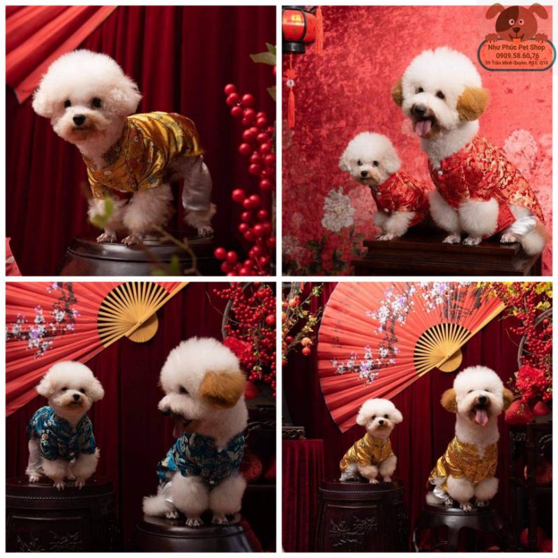 🐶🐱 Áo dài gấm cho chó mèo