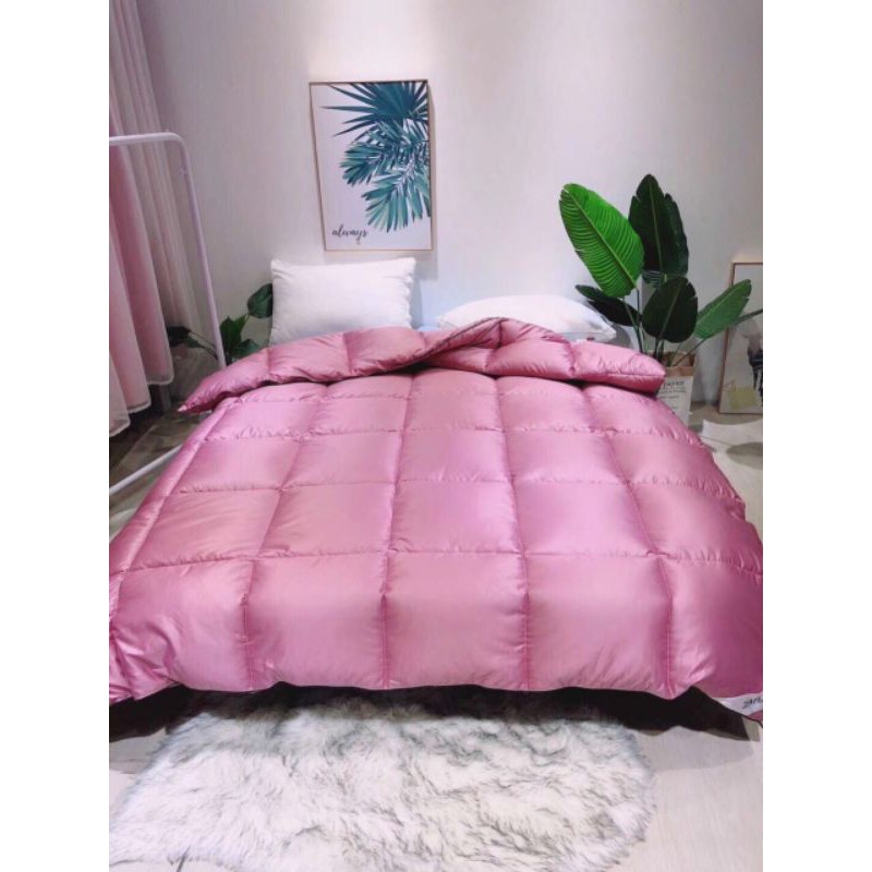 Chăn lông vũ Zaza