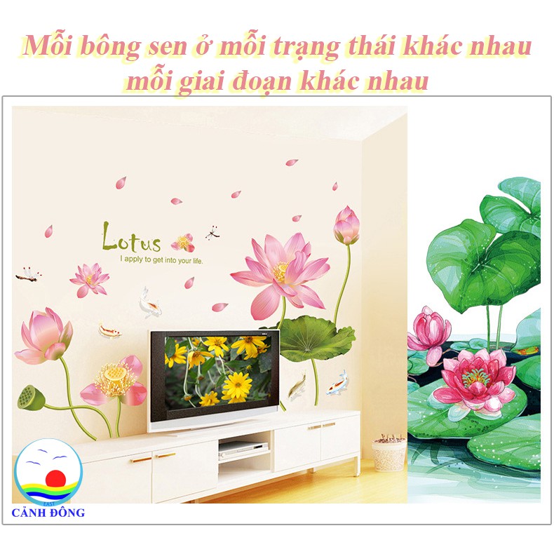 Giấy dán tường hoa sen - Lotus sang trọng