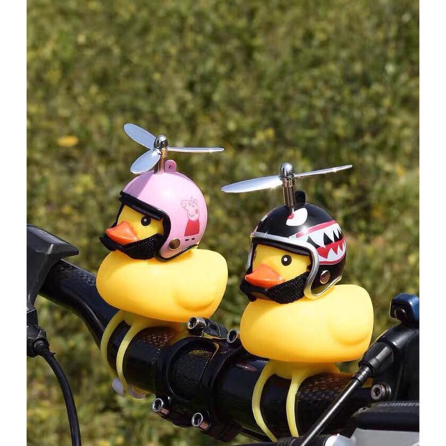 Vịt đội mũ chong chóng