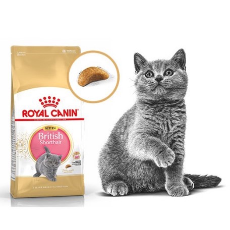 Thức ăn hạt Royal Canin British Shorthair Kitten/ Adult cho mèo 2kg