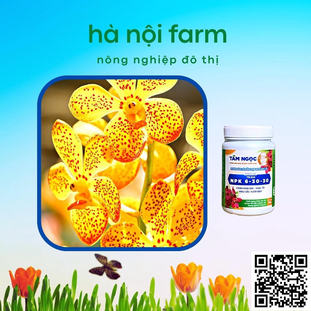 Phân bón lan NPK 6-30-30 Tám ngọc 100g
