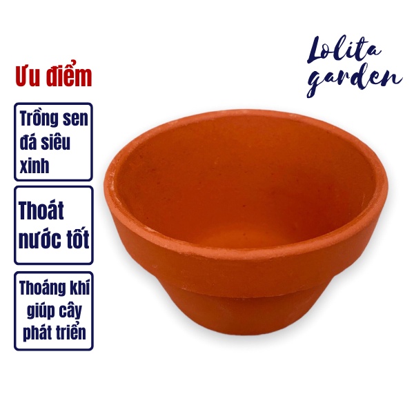 CHẬU ĐẤT NUNG LÙN NÂU ĐƯỜNG KÍNH 8CM SIÊU XINH SIÊU KHỎE LỖI 1 ĐỔI 1