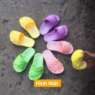 Combo 5 cải nữ + 10 nữ cao như hình