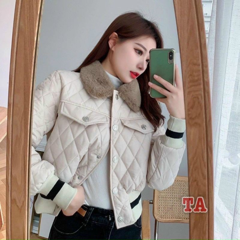 Phao trám viền gấu