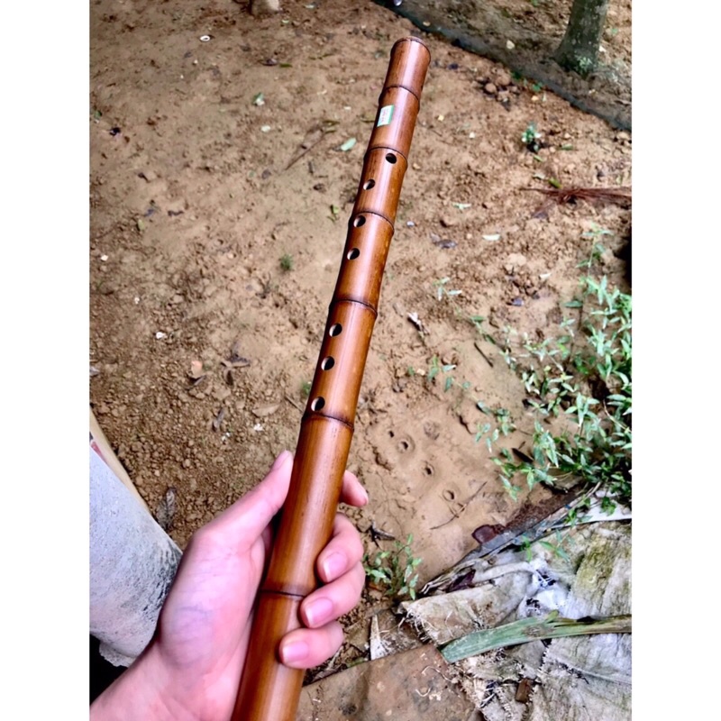 Động Tiêu Trúc Hun Khói Tiêu C4 Tiêu Bát Khổng