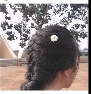 Kep tóc hoa cúc