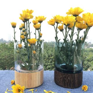 Lọ hoa thủy tinh dáng trụ, đế gỗ