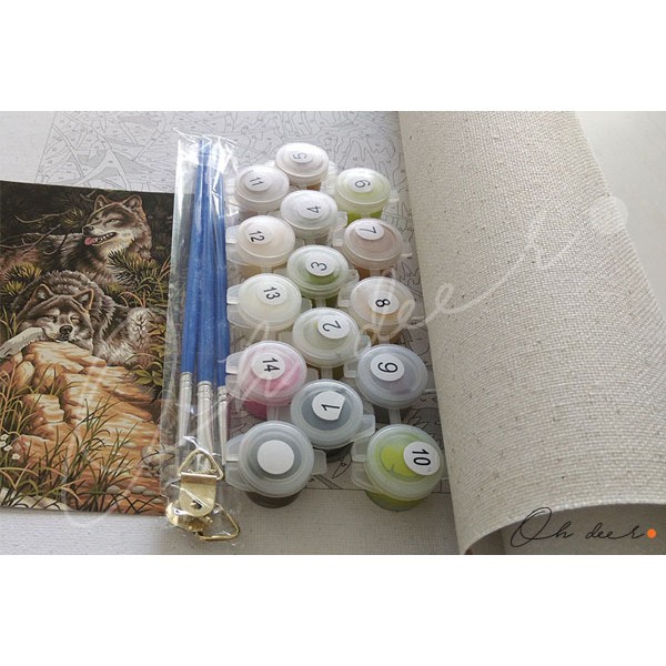 Tranh tô màu theo số | 40*50 | CÓ KHUNG | Hoạt hình - Anime - Manga - Totoro trên cánh đồng