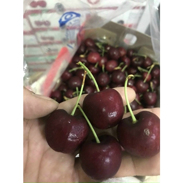 Cherry Cuống Xanh (2.5kg size to)      N