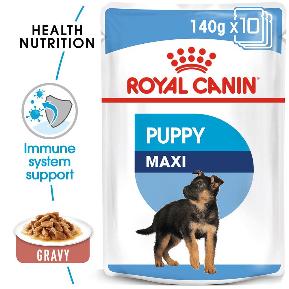 Pate Royal Canin Maxi Puppy Cho Chó Con Giống Lớn (140g)