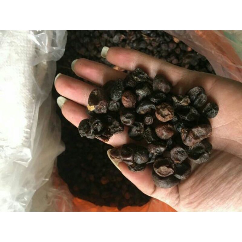 1kg mắc mật ( hạt móc mật)