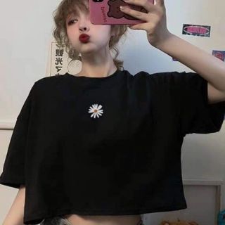 Áo crop top hoa cúc nhỏ form rộng_HD