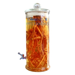 Bình ngâm rượu thuỷ tinh 19L có vòi, ống trụ.