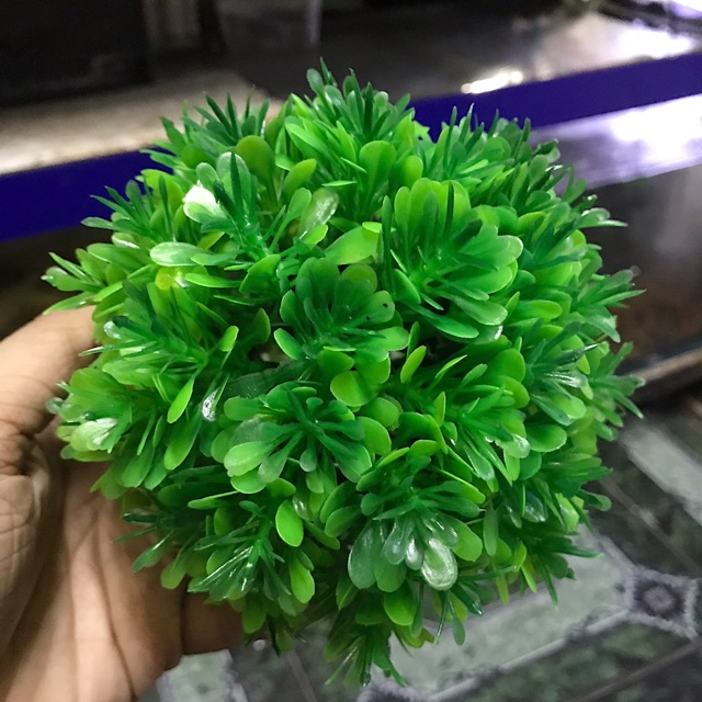 RONG GIẢ TRANG TRÍ HỒ CÁ NON BỘ ĐƯỜNG KÍNH 13CM CAO 12CM
