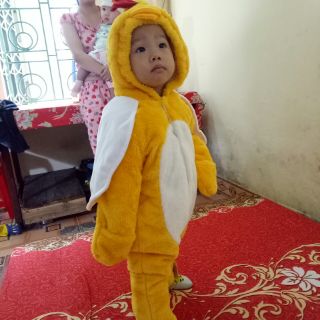 Gà con