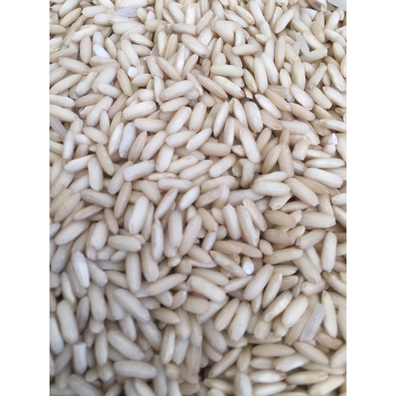 Nếp lứt sáp ngỗng
