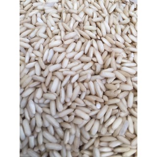 Nếp lứt sáp ngỗng