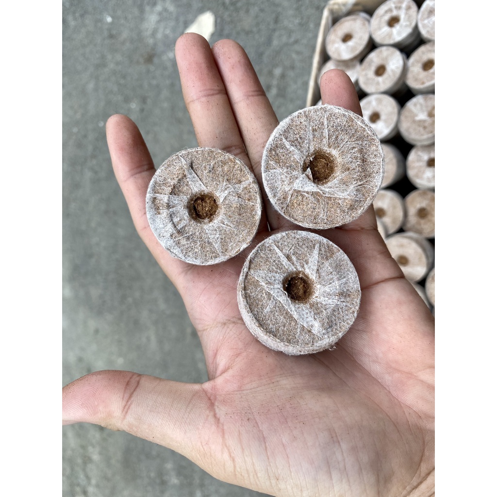 Viên Nén Xơ Dừa 5 viên Ươm Cây Giống TOTT's fertilizer