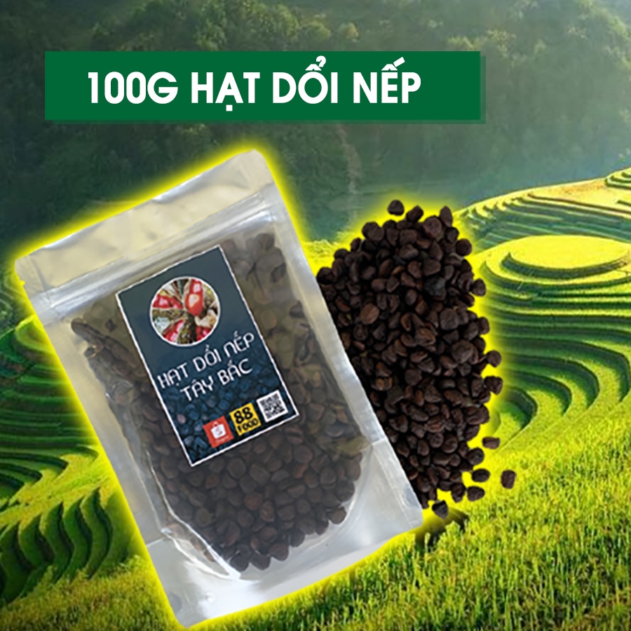 100g Hạt Dổi Nếp Rừng Cây Cổ Thụ Loại 1 (Chính Gốc Tây Bắc)